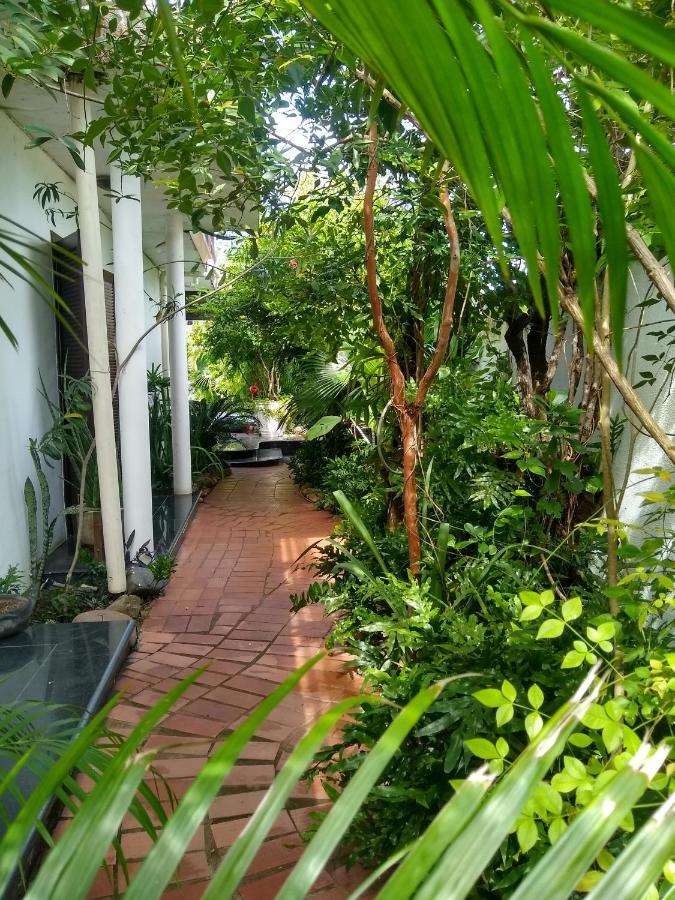 Guesthouse Mata Da Praia Витория Экстерьер фото